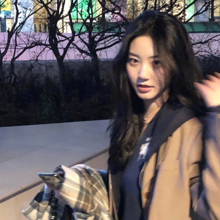 吾辈本如斯